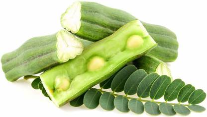 Handymade Grandma Garden Moringa seeds, Muringai, Mochakamu, Mulaga, Mulaga Chettu Seed