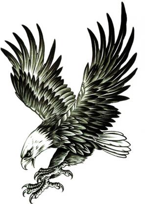 The Canvas Arts The Canvas Arts Wrist Arm Hand Eagle Body Fire Temporary Tattoo