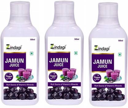 Zindagi Natural Jamun Juice - Sugar Free Healthy Drink (Pack of 3)