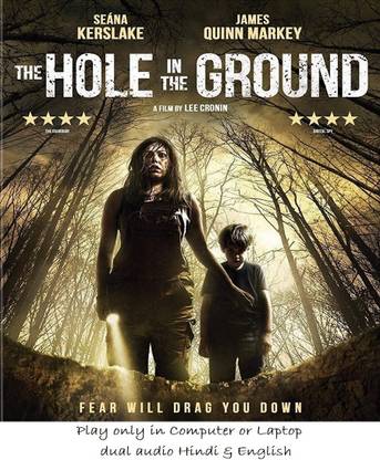 The Hole in the Ground (2019)