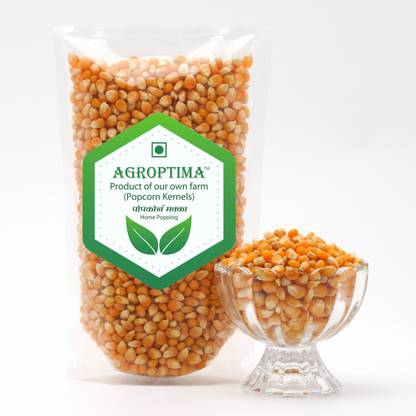 Agroptima popcorn seed 1 kg Popcorn Seeds