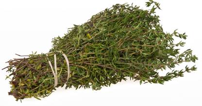 XOLDA Thyme Seed
