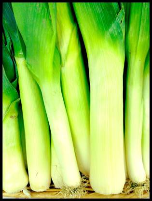 gogeen Leek Seed