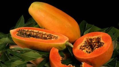 Ovule Fruit: Papaya Red Lady Type Produce F2 50 Seeds Seed