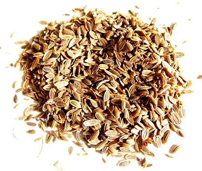 WILLVINE Saluka Seed