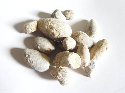 Urancia Ber Pathar Hajrul Yahood Sange Yahood Ber Patthar Bhasma Badarashma Hazrul Yahud 100g Crystal