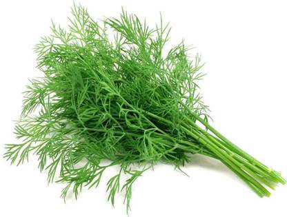 SaaHeli Dill soya leaves Seed
