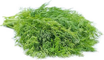 SaaHeli Dill soya leaves Seed