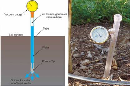Nsaw SOIL TENSIOMETER Analog  Anemometer
