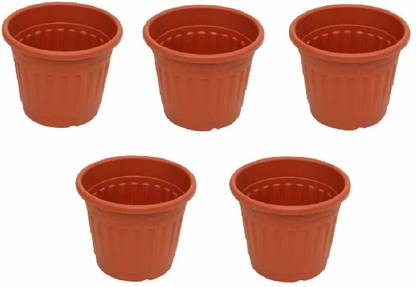 live with alive Plant Container Set