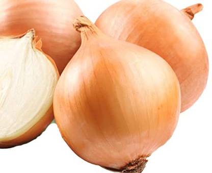Sjeme Patterson onion seeds Seed