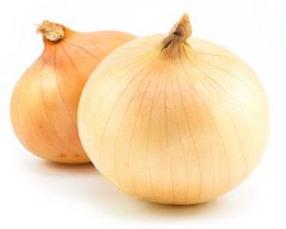 Sjeme Spanish onion sweet onion seeds Seed
