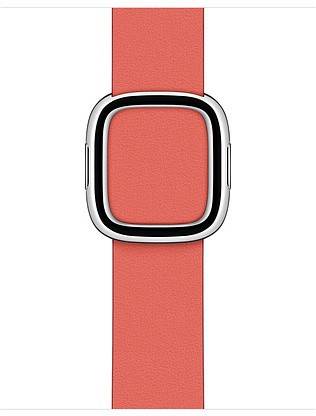 Apple MY622ZM/A Smart Watch Strap