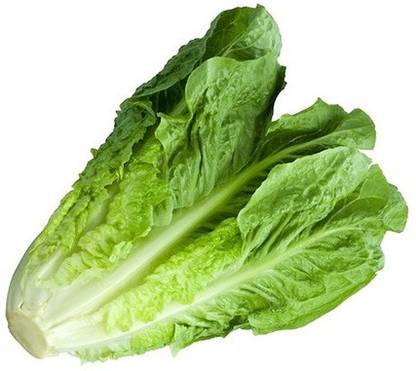 DST lettuce seeds Seed