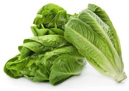 CYBEXIS Lattuga Romana-100 Seeds Seed