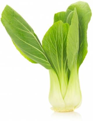 Paudha Pak Choi / Bok choy Seed