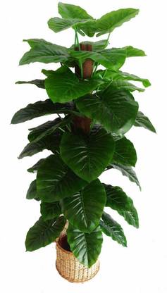 KAYKON Big Artificial Plant tree without Pot Home Decorative Artificial Tree Bonsai Artificial Plant