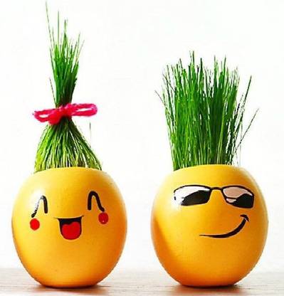 Alliance 2 Pcs Cute Exressions Smiley Emoji Plant Flower Pot for Home Desk Balcony Decor… Plant Container Set
