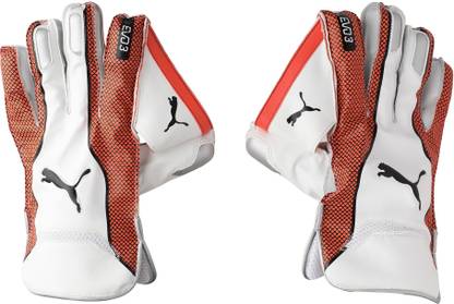 PUMA EVO 3 Wicket Keeper glove Wicket Keeping Gloves
