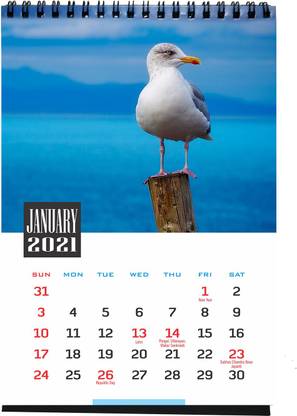REGALOS Bird Table Calendar 2021 2021 Table Calendar