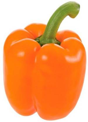 Sjeme Orange capsicum seeds (Imported) Seed