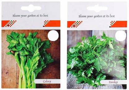 CYBEXIS 2-Varieties-Celery, Parsley Seed