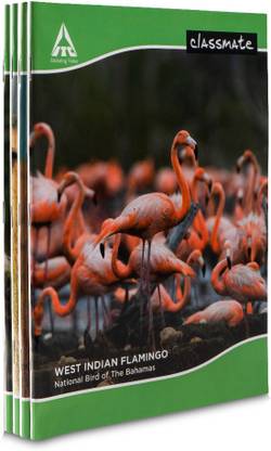 Classmate Notebook 240mm x 180mm Book-size Notebook Single Line 172 Pages