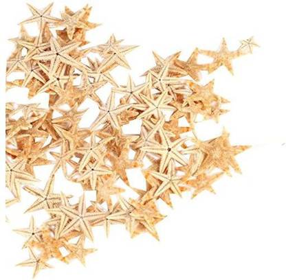 Ogrmar Small Starfish Star Sea Shell Beach Craft 0.4"-1.2" 90 Pcs