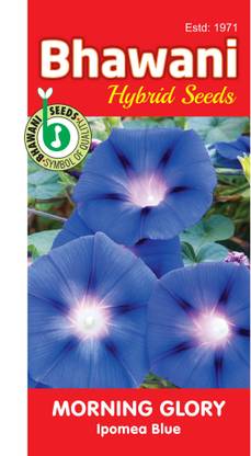Bhawaniseeds Ipomoea, Morning Glory, Grannyvine, Heavenly Blue, Besharam, Behaya Seed