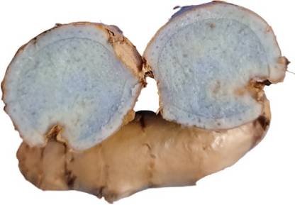 OCEANT Black Turmaric Seeds Seed