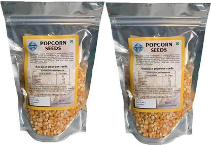 AMBIKA FOOD Popcorn seed or unpoped popcorn Corn