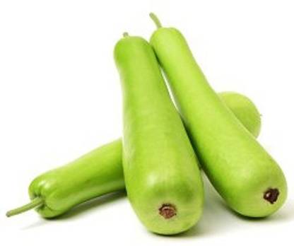 Sjeme Azad Nutan Bottle Gourd Lauki seed Seed