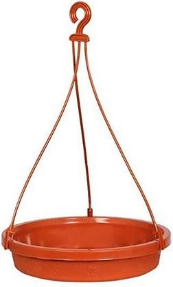Paxidaya Window Bird Feeder Bird Feeder