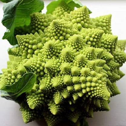 Sjeme Romanesco broccoli broccoli seed Seed