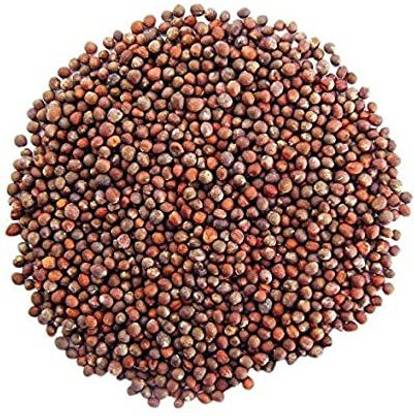 Sjeme Purple Sprouting broccoli seed Seed