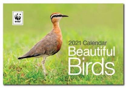 WWF WC-21103-00528 2021 Wall Calendar