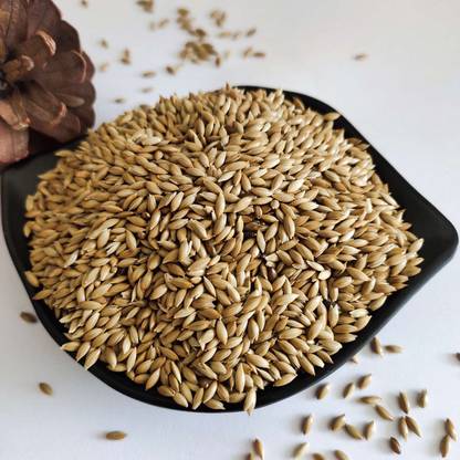 JJ FEEDS CANARY SEED Vegetable 0.9 kg Dry Adult, Young, Senior Bird Food 0.45 kg Dry Young Bird Food