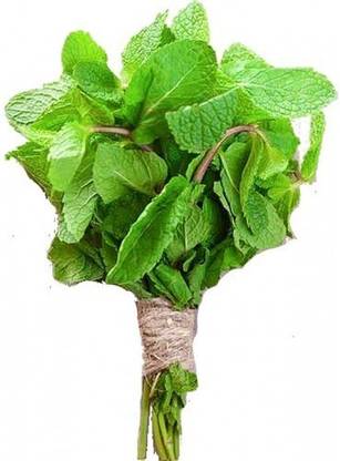 GRAH PRAVESH Mint, Mentha, pudina Seed