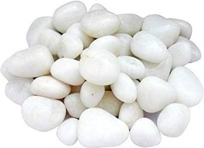 Green Plant indoor White11144 Painted Rectangular Marble Stone