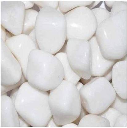 Green Plant indoor WS09 Polished Round Marble Stone