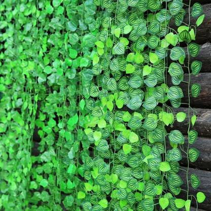 Flipkart SmartBuy Hanging Vine Plant Leaves Bonsai Artificial Plant