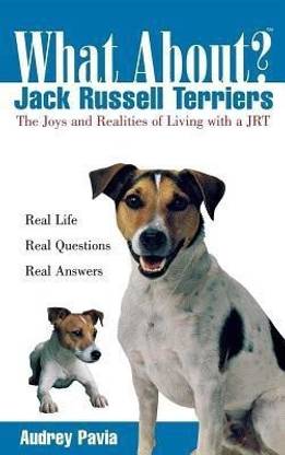 What about Jack Russell Terriers?