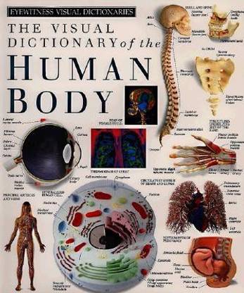Eyewitness Visual Dictionaries: The Visual Dictionary of the Human Body