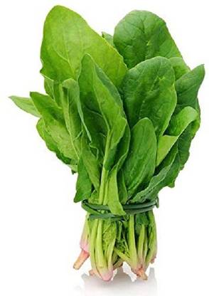 Sjeme Indian summer Spinach/Palak seed Seed