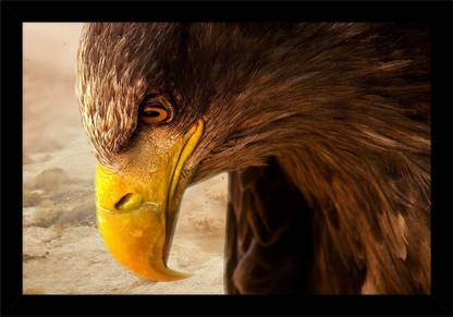 Art collection Art Collection of Scary Eagle Photo Frame Ink 12 inch x 18 inch Painting