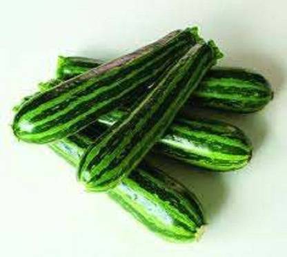 Sjeme Summer Green Tiger Zucchini Seed