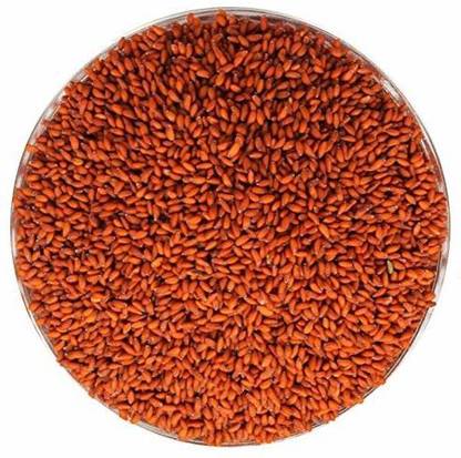 Nature Krafts Garden Cress Halim Seeds (Asaliya) 900gm Seed