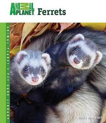 Ferrets