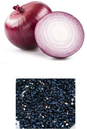 STOREFLIX ONION RED Seed