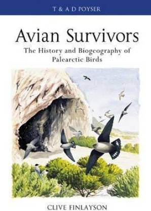 Avian survivors